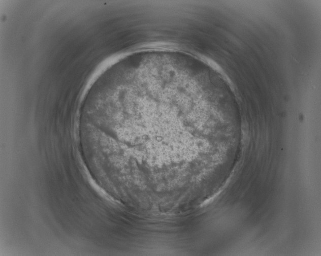 X0000081471421200702092328