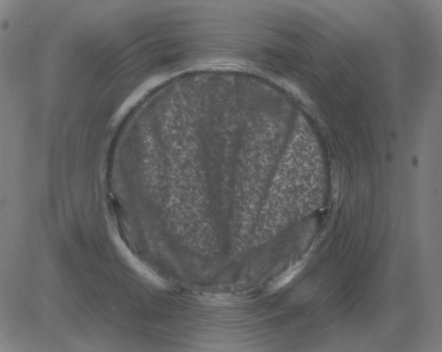 X0000081471422200702092328