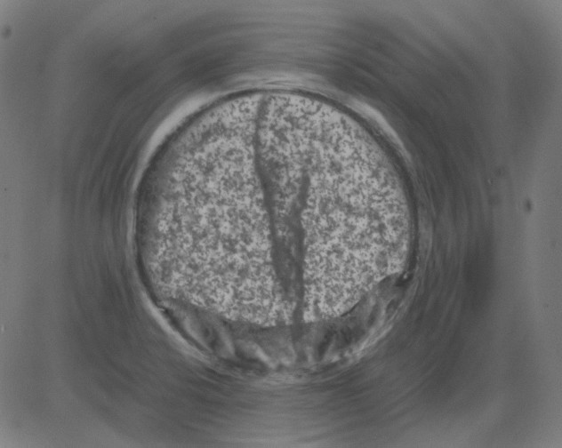 X0000081471424200702092328