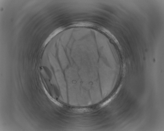 X0000081471425200702092328