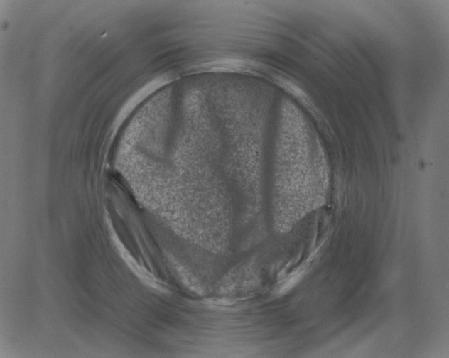 X0000081471426200702092328