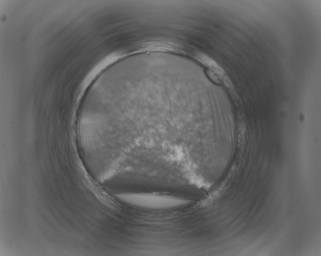 X0000081471427200702092329