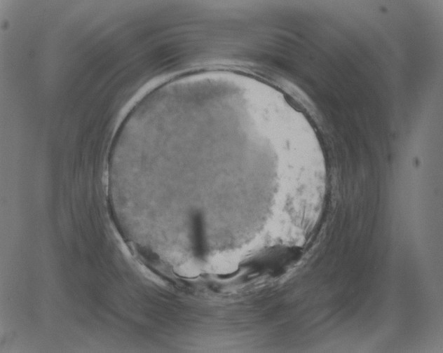 X0000081471428200702092329