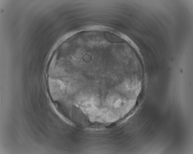 X0000081471429200702092329