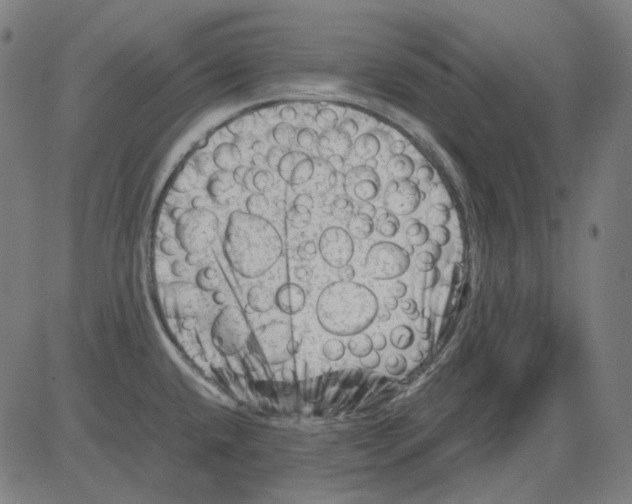 X0000081471432200702092329