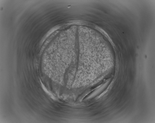 X0000081471433200702092329