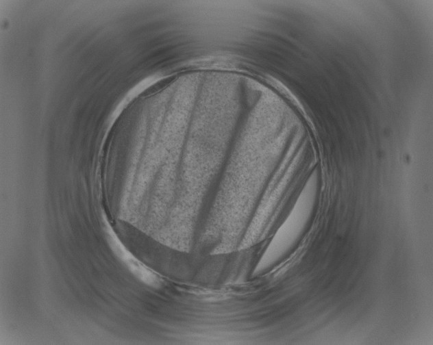 X0000081471434200702092329