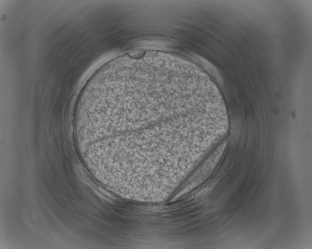 X0000081471435200702092329