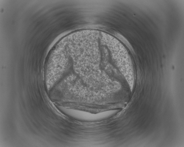 X0000081471436200702092329