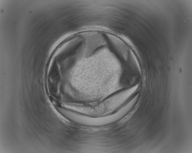 X0000081471438200702092329