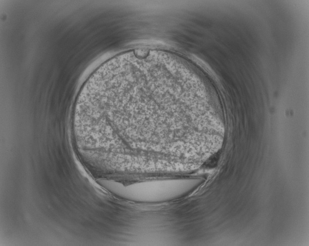 X0000081471440200702092329