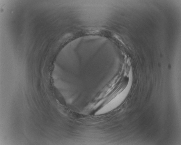 X0000081471441200702092328