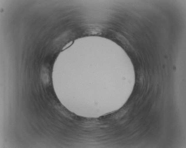 X0000081471442200702092328