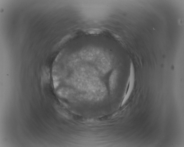 X0000081471443200702092328