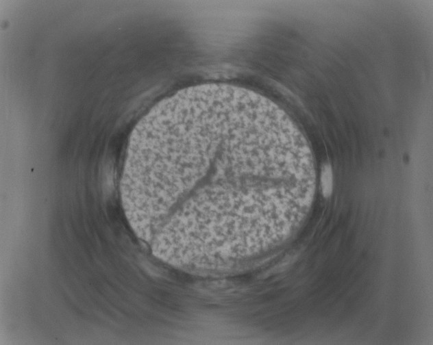 X0000081471444200702092328