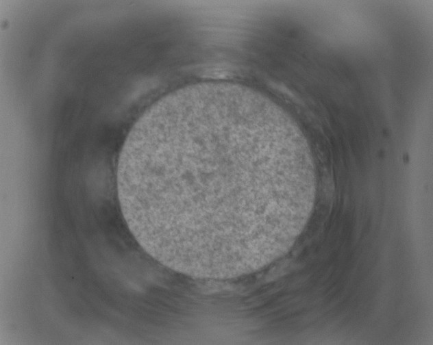 X0000081471446200702092328