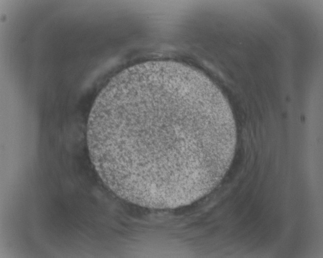 X0000081471447200702092328