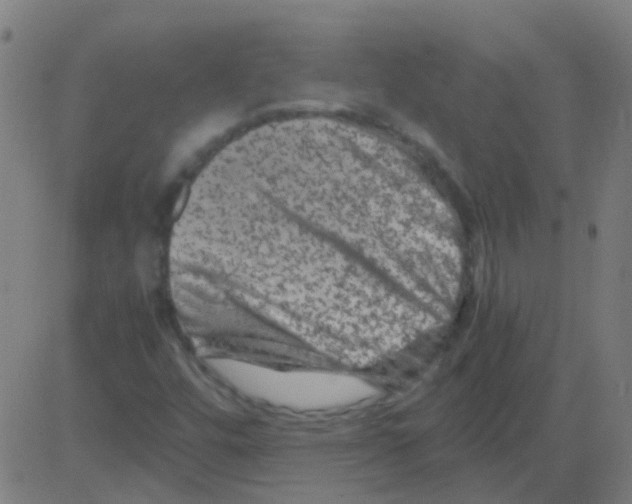 X0000081471448200702092328