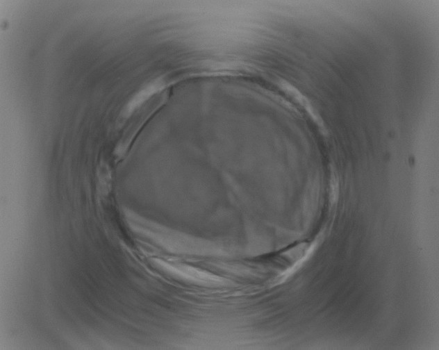 X0000081471449200702092328