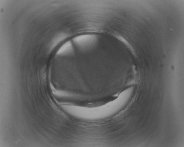 X0000081471450200702092328