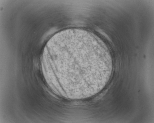 X0000081471451200702092328