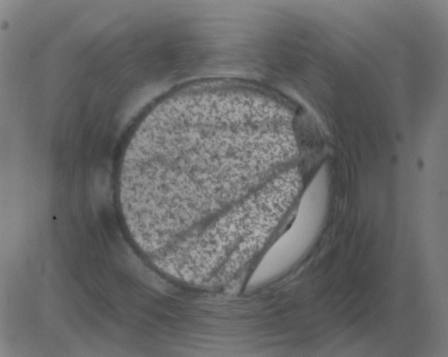 X0000081471452200702092328