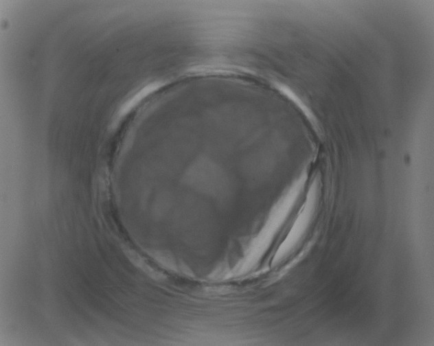 X0000081471453200702092328