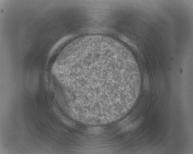 X0000081471454200702092328