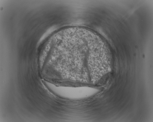 X0000081471456200702092328