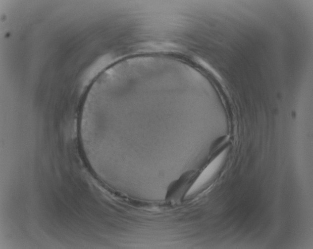 X0000081471459200702092328