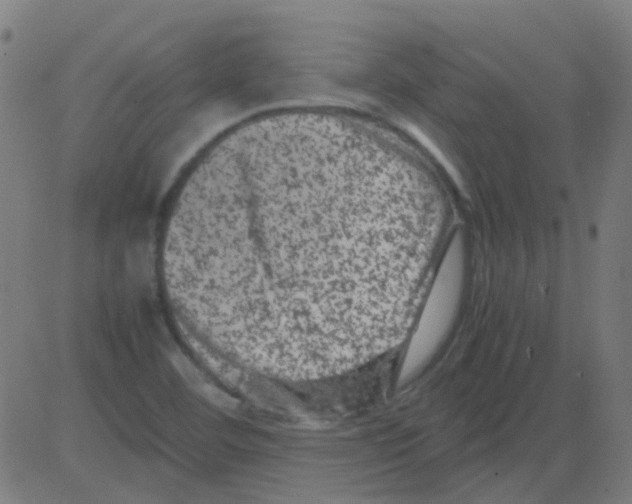 X0000081471460200702092328