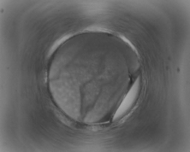 X0000081471461200702092328