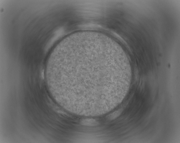 X0000081471462200702092328