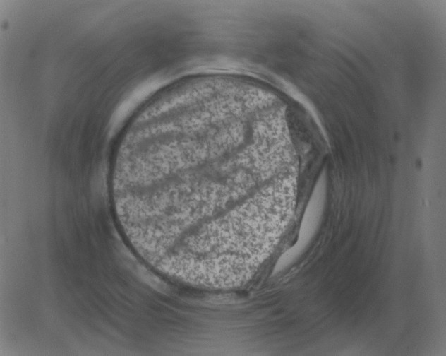 X0000081471464200702092328