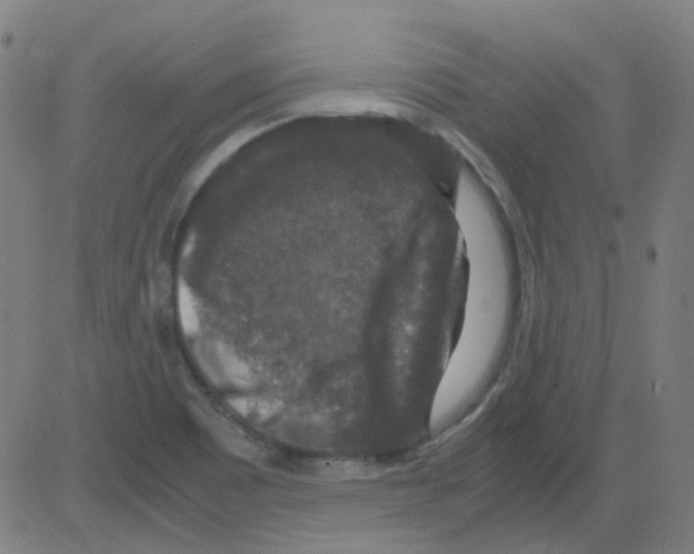 X0000081471465200702092328