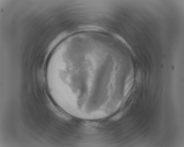 X0000081471466200702092328