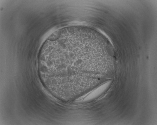 X0000081471467200702092328