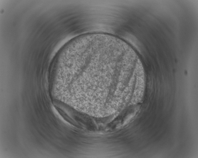 X0000081471468200702092328