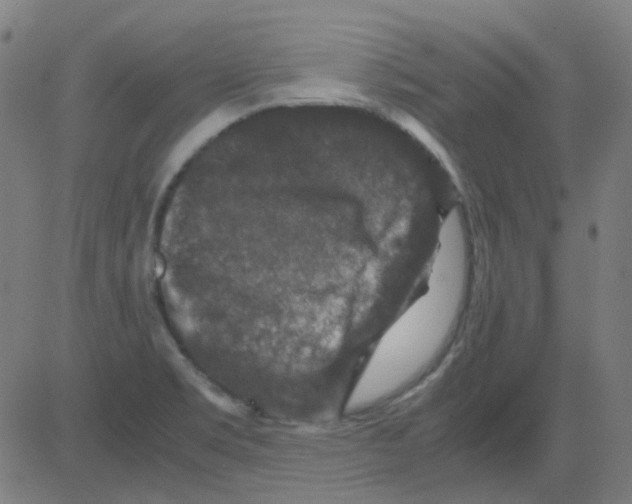 X0000081471469200702092327