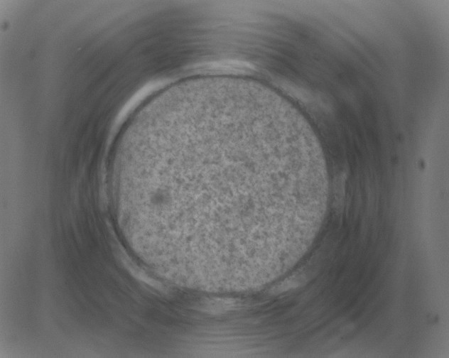 X0000081471470200702092327