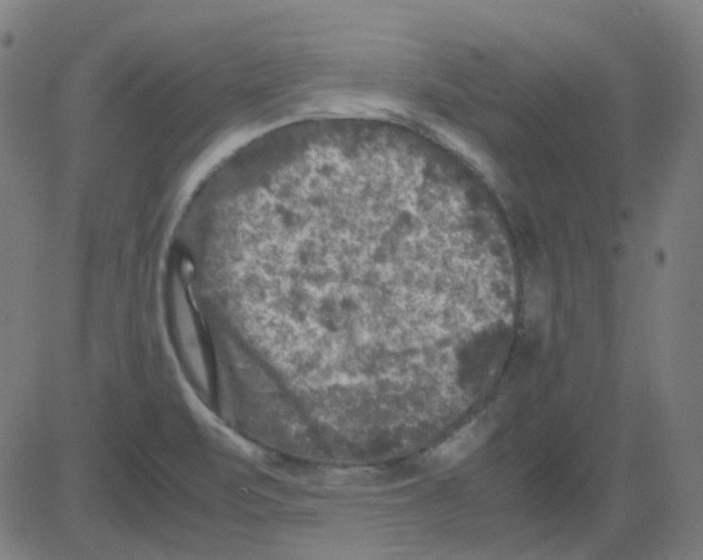 X0000081471471200702092327