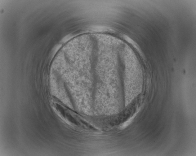 X0000081471473200702092327