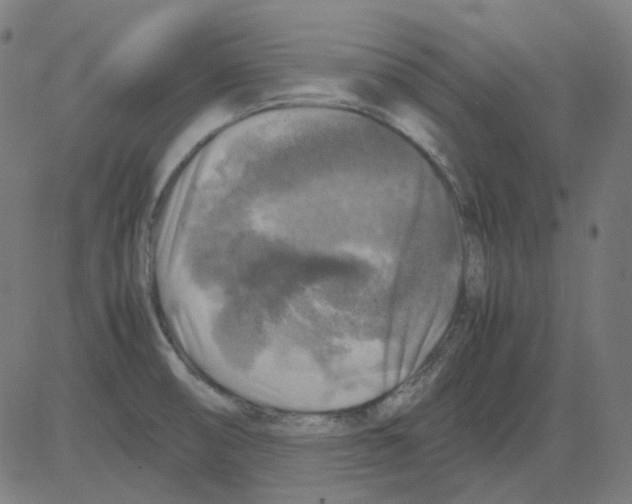 X0000081471474200702092327