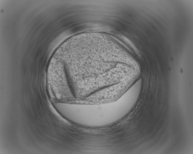 X0000081471476200702092327