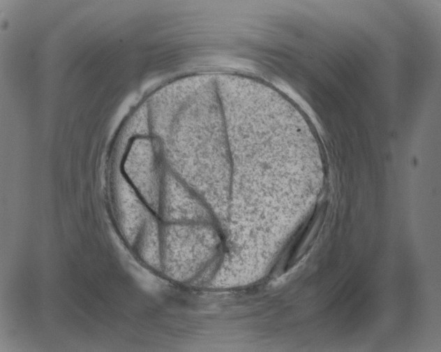 X0000081471477200702092327