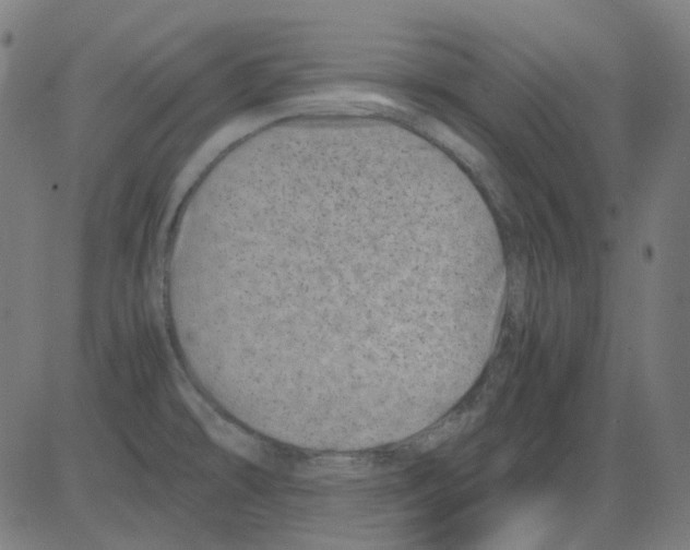 X0000081471478200702092327