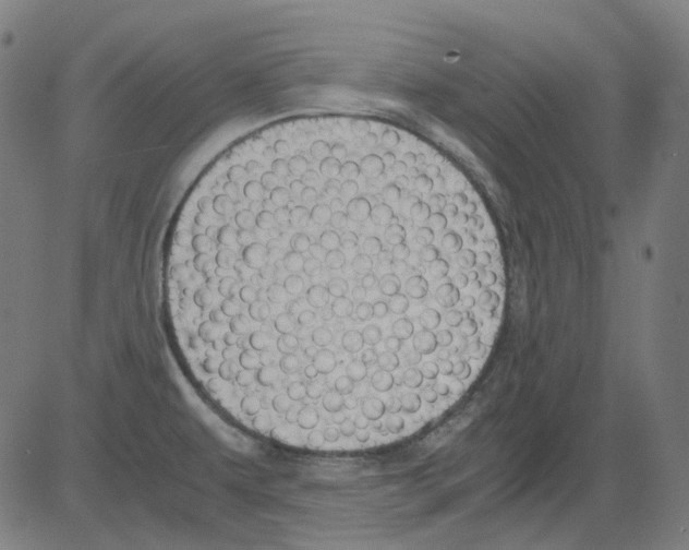 X0000081471479200702092327