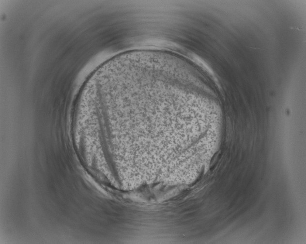 X0000081471480200702092327