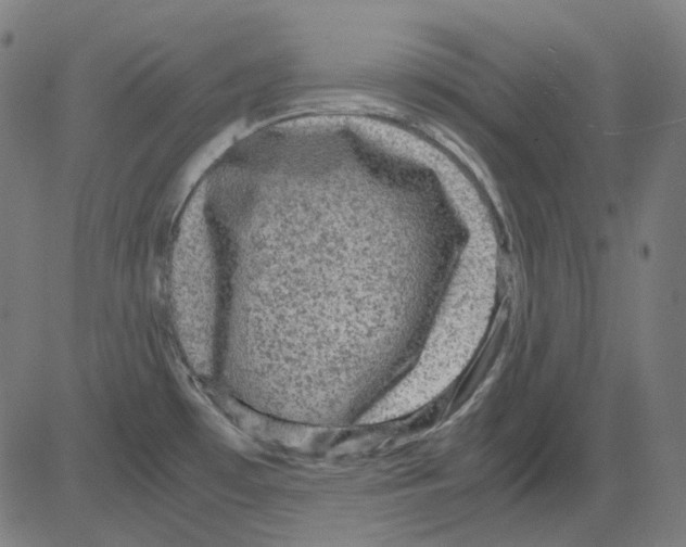 X0000081471481200702092327