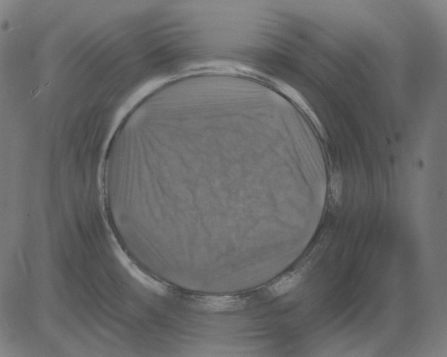 X0000081471482200702092327